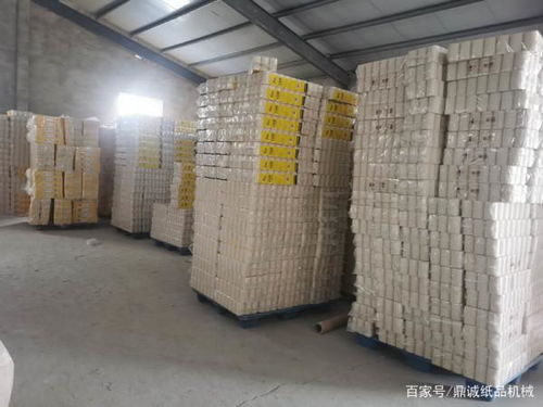 想在农村老家办个小型卫生纸加工厂,需要投资多少钱呢