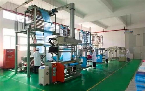 在小县城投入20万办厂,哪些项目见效快 收益高 有前景