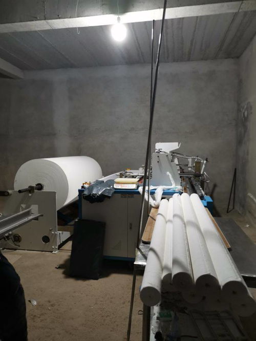 卫生纸加工厂前景怎么样